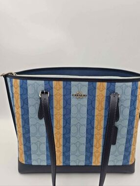 Coach Striped Jacquard Canvas Large Mollie Tote